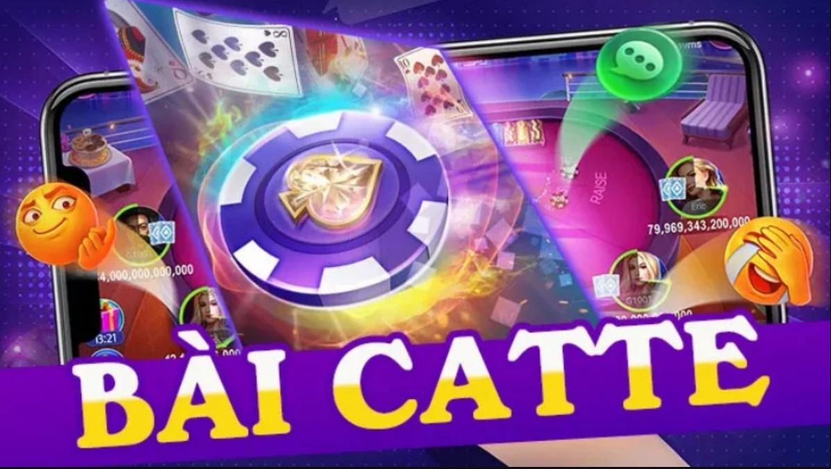 bài catte M88